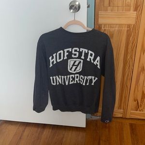 Size S, Dark Gray Hofstra University Crew Neck